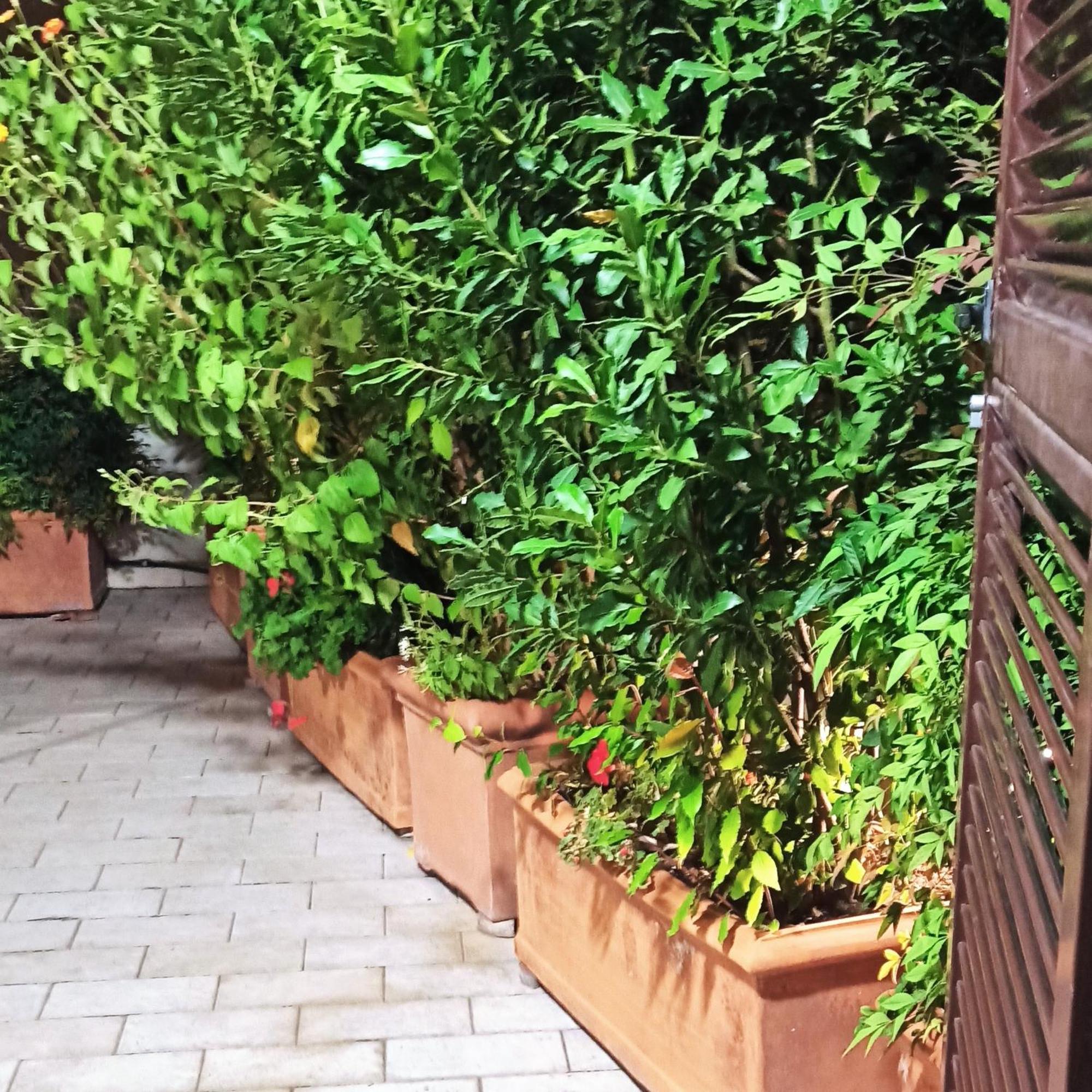 Living By Vatican With Panoramic Terraces In Rome Luaran gambar