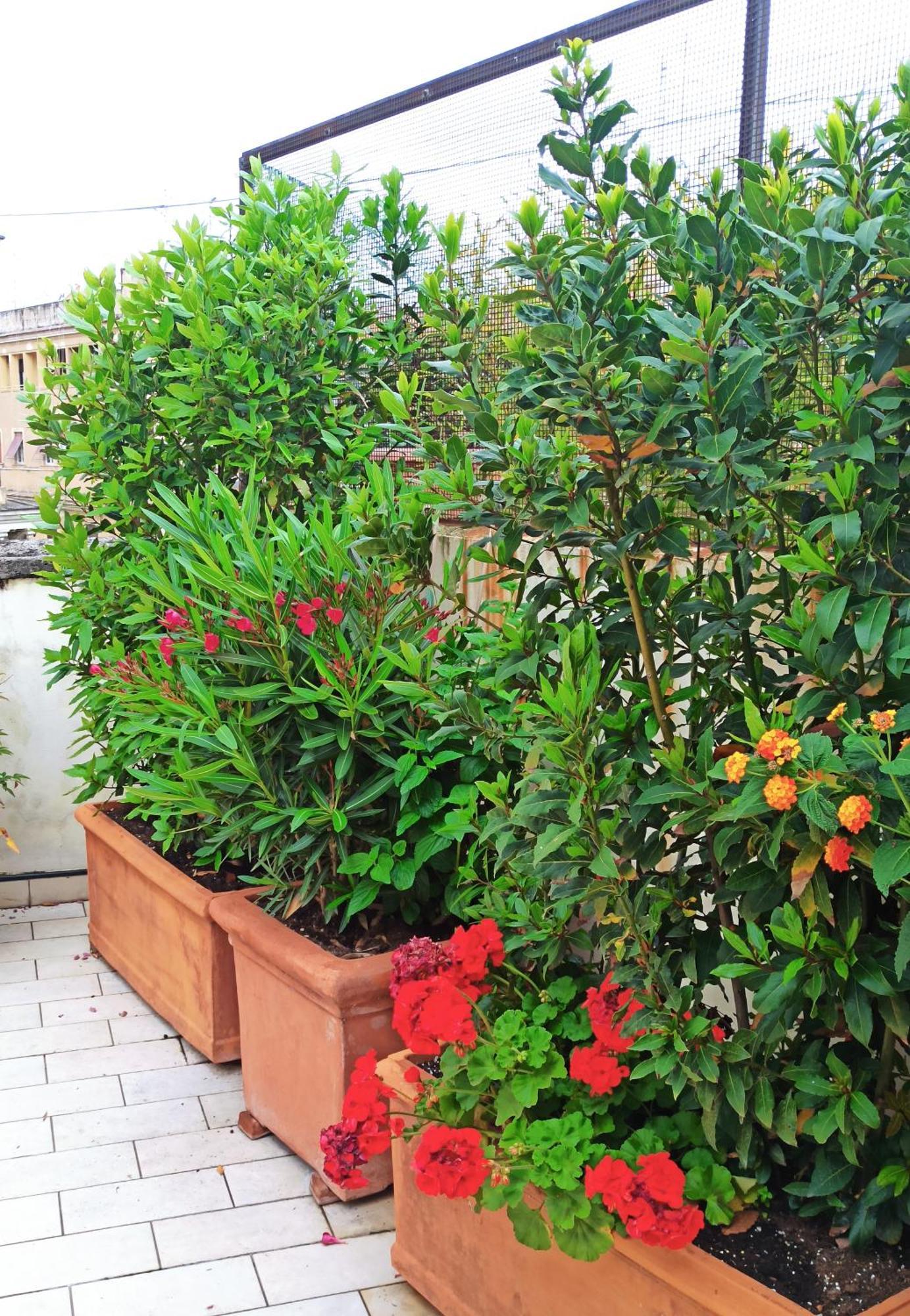 Living By Vatican With Panoramic Terraces In Rome Luaran gambar